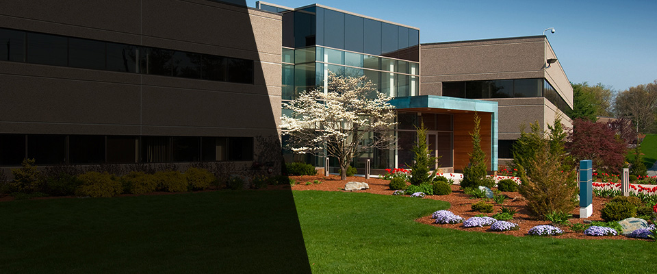 Rochelle Park Landscapers