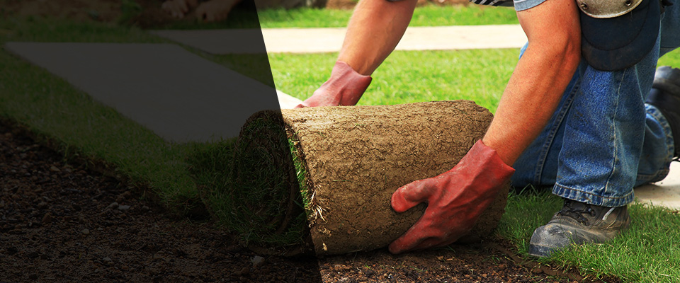 Rochelle Park Landscapers